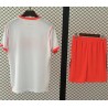 Conjunto completo para adultos HOLANDA segunda equipación con pantalón 2026