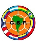 Camisetas de otras ligas y competiciones